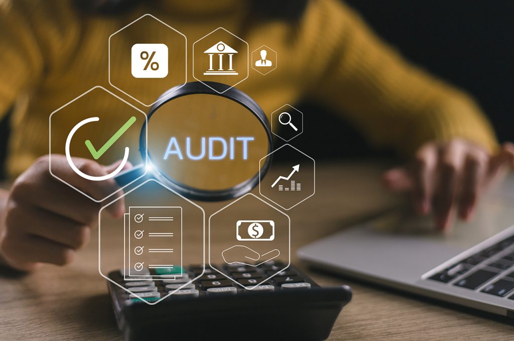 Statutory Audit